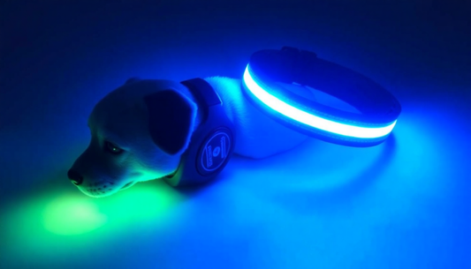 LED Dog Collar Nylon with Night Safety Flashing Glow In The Dark Pet Leash