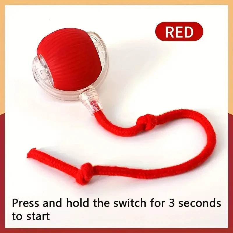 Smart Dog Toy Ball Electronic Interactive Pet Toy Moving Ball USB Automatic - Fitzsi Essentials