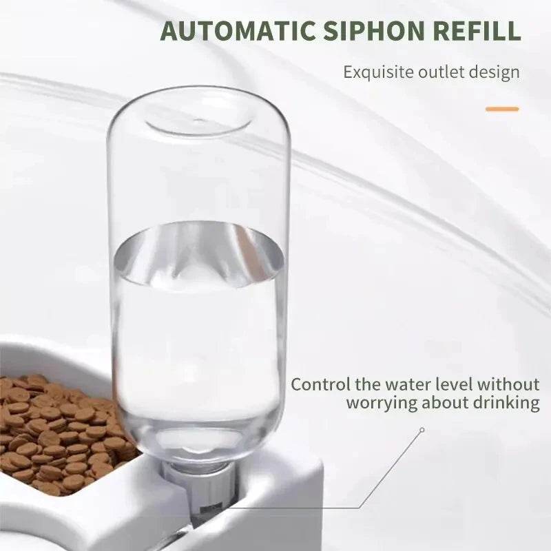 Automatic cat dog feeder featuring a glass water bottle for easy refilling and consistent hydration