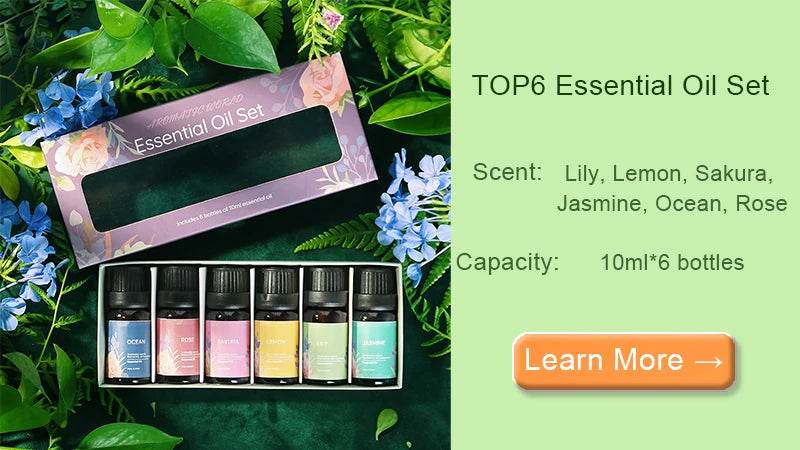 Fitzsi Essentials TOP6 Essential Oil Set with 10ml bottles featuring aromas like Lily and Jasmine