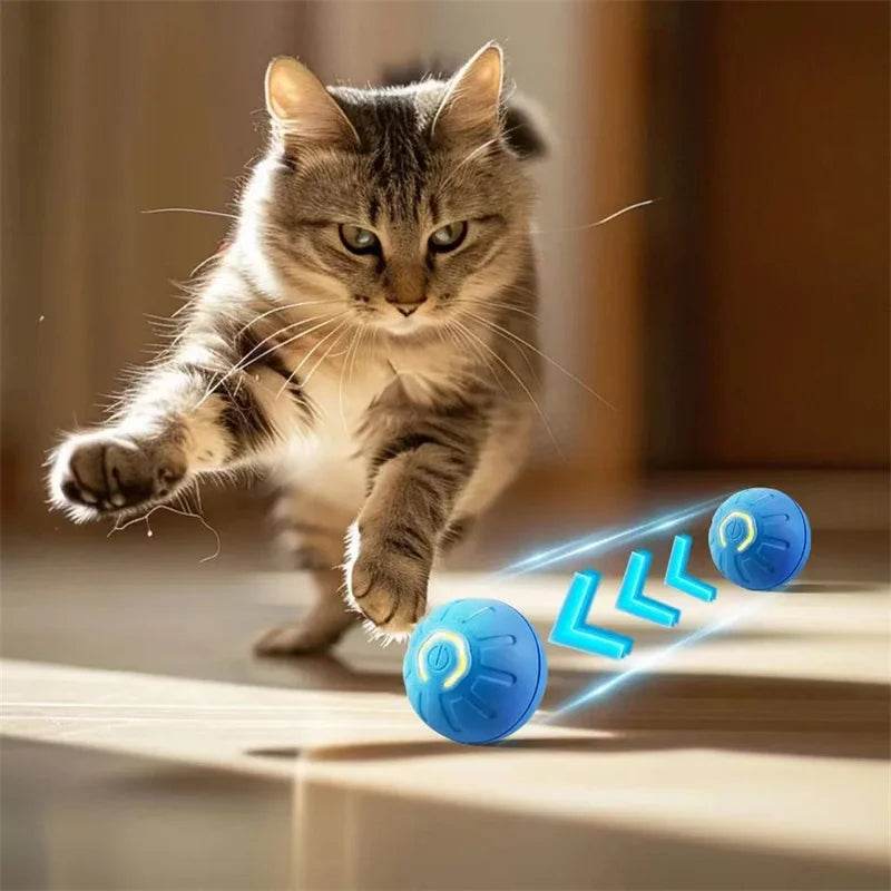 Cat chasing a vibrant blue smart moving dog toy that rolls and moves on its own
