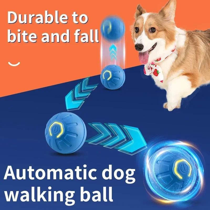 Fitzsi Essentials smart moving dog toy, an automatic walking ball for playful pets