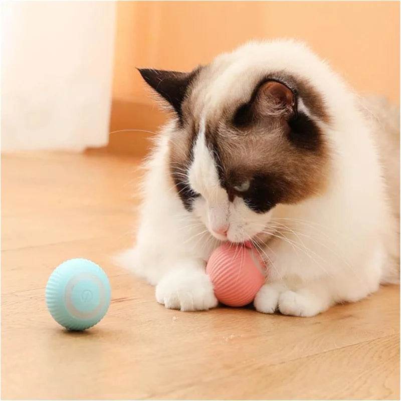 Interactive smart moving dog toy for playful pets, promoting exercise and mental stimulation