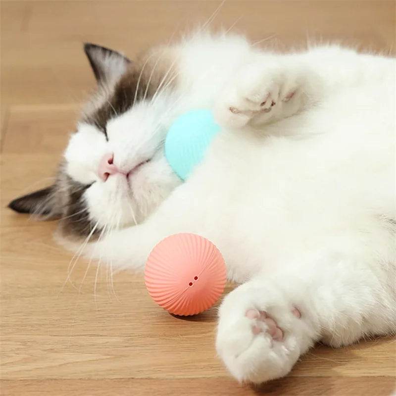 Cute cat playing with a smart moving dog toy in pastel colors on a wooden floor