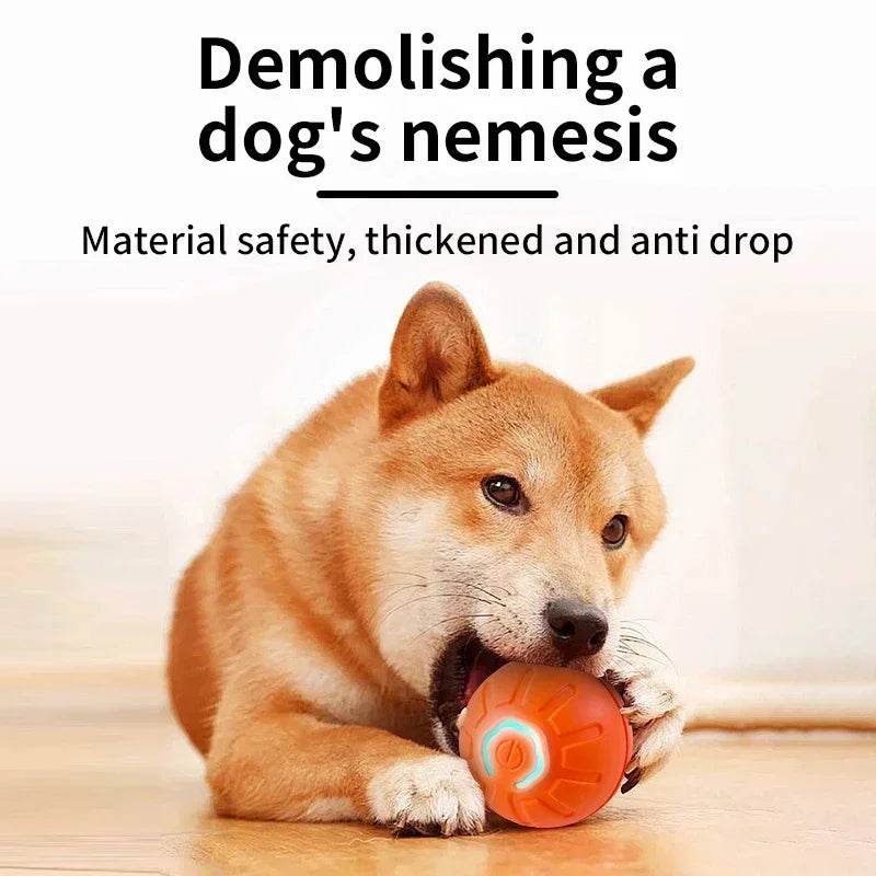 Smart moving dog toy designed for interactive play and safe chewing, perfect for dogs
