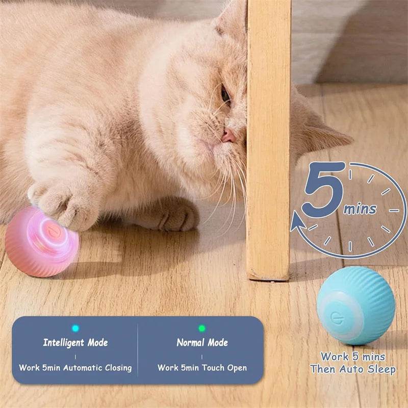Smart moving dog toy with interactive features for keeping pets engaged and active