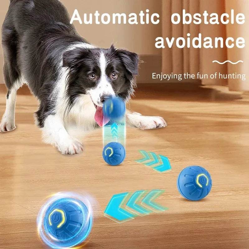 Fitzsi Essentials smart moving dog toy with automatic obstacle avoidance for engaging pet play