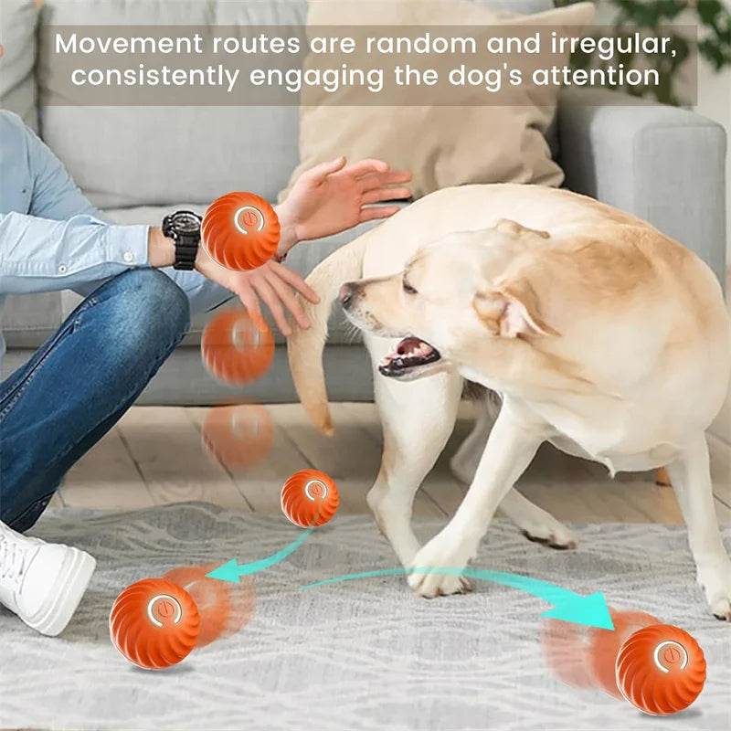 Fitzsi Essentials smart moving dog toy engaging a playful dog with unpredictable movements