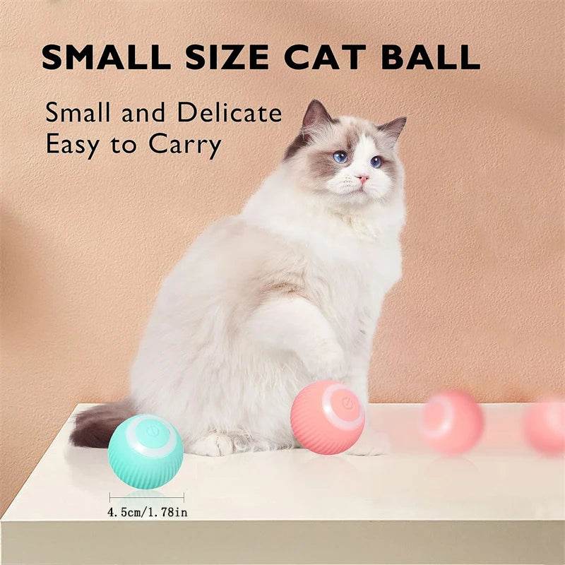 Fitzsi Essentials smart moving dog toy designed to engage dogs with interactive play