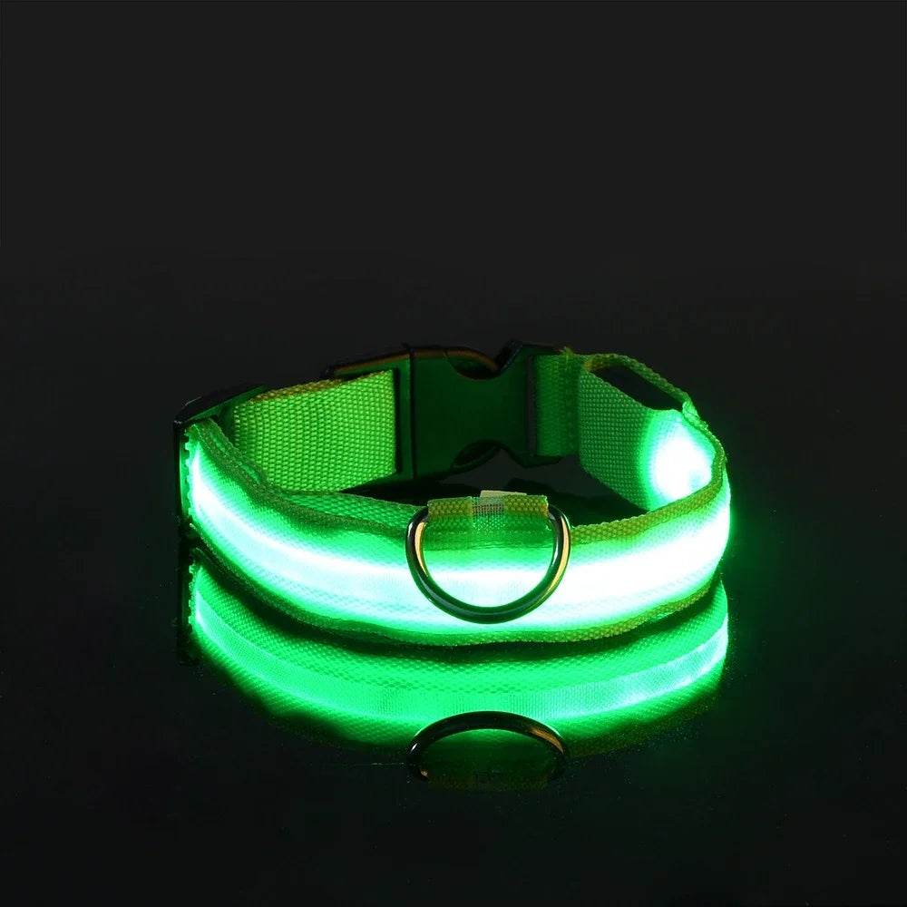 Fitzsi Essentials nylon LED pet collar in bright green for enhanced visibility during nighttime walks