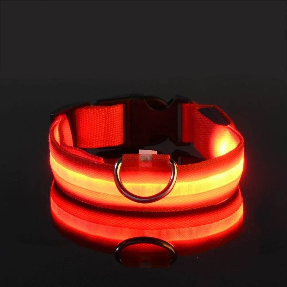 Fitzsi Essentials nylon LED pet collar in red with reflective strip for nighttime visibility