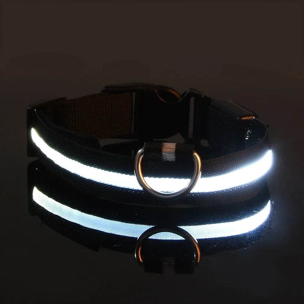 Fitzsi Essentials nylon LED pet collar with reflective design for nighttime visibility and safety
