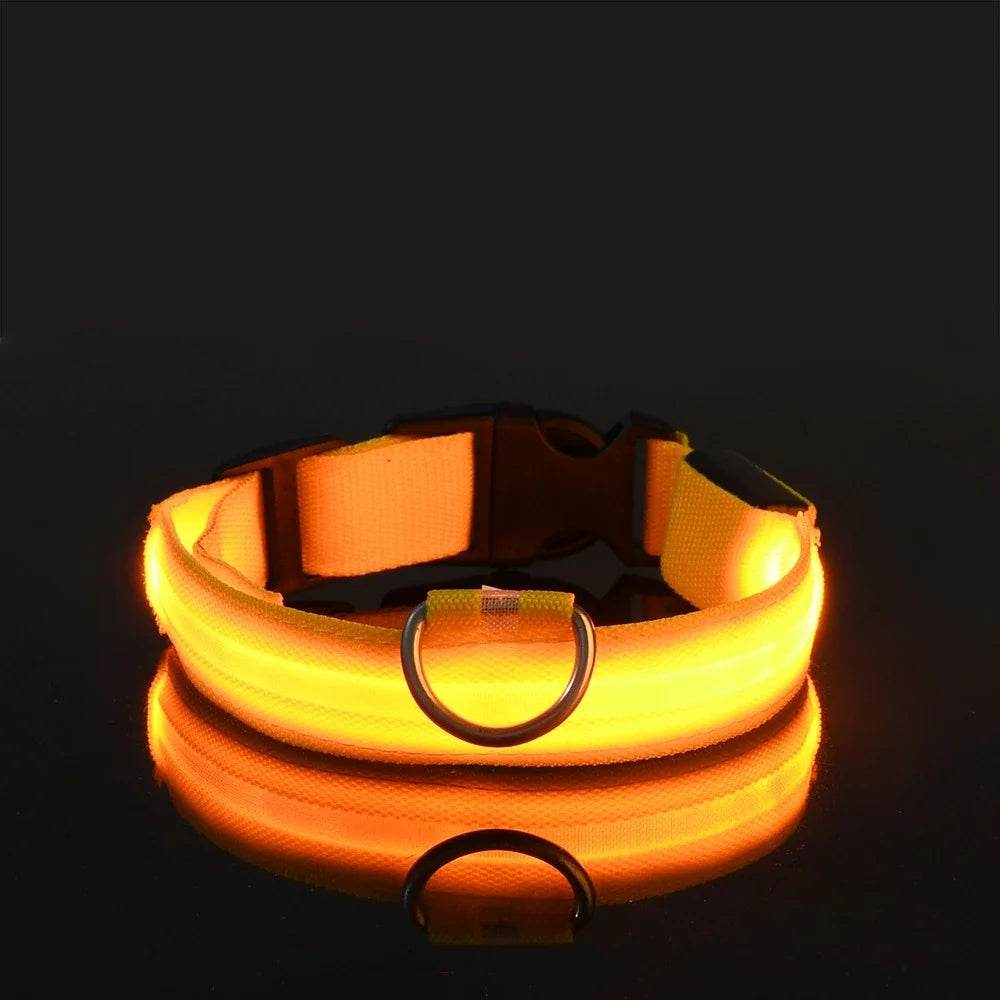 Fitzsi Essentials nylon LED pet collar in bright yellow for nighttime visibility and safety