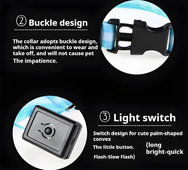 Fitzsi Essentials nylon LED pet collar featuring a convenient buckle design and a light switch for visibility
