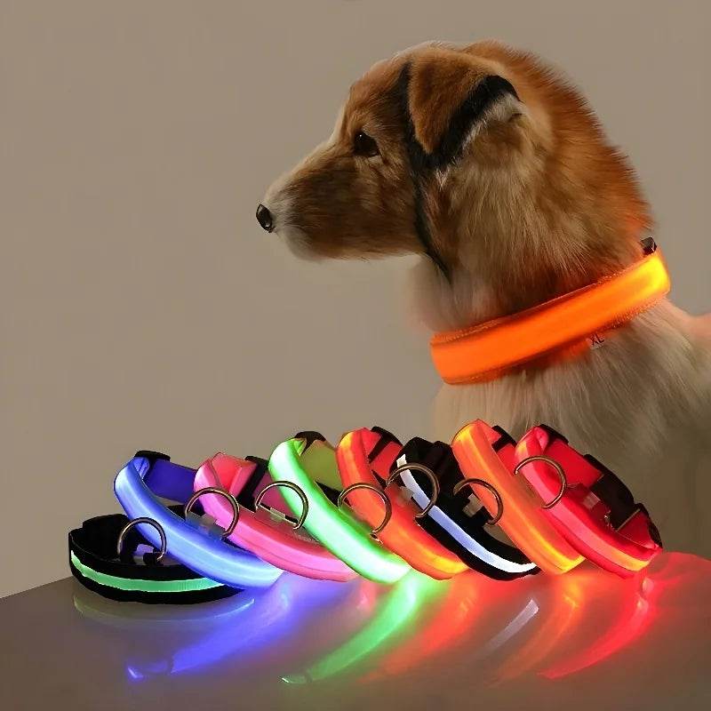 Variety of nylon LED pet collars in neon colors with a dog wearing the orange version for nighttime safety