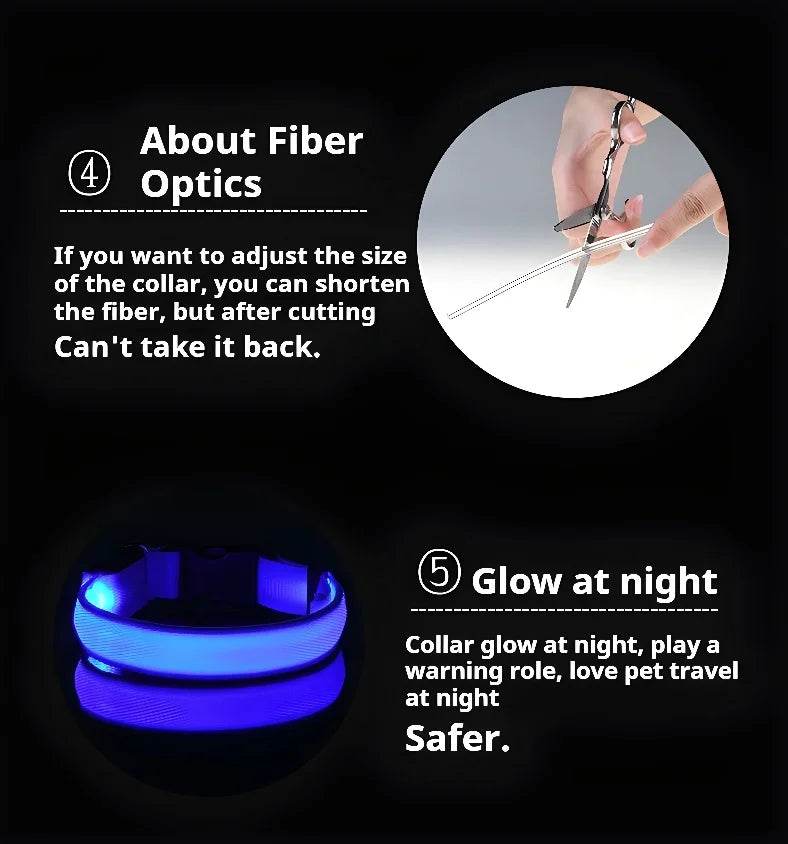 Fitzsi Essentials nylon LED pet collar that glows at night for pet safety and adjustable sizing