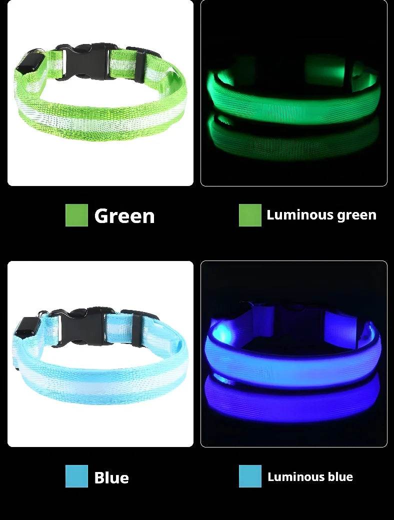 Fitzsi Essentials nylon LED pet collar available in green and blue with luminous options for visibility