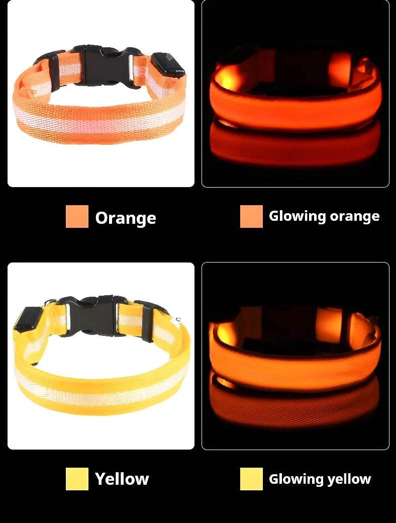 Fitzsi Essentials nylon LED pet collar in orange and yellow options, featuring a glowing effect for visibility