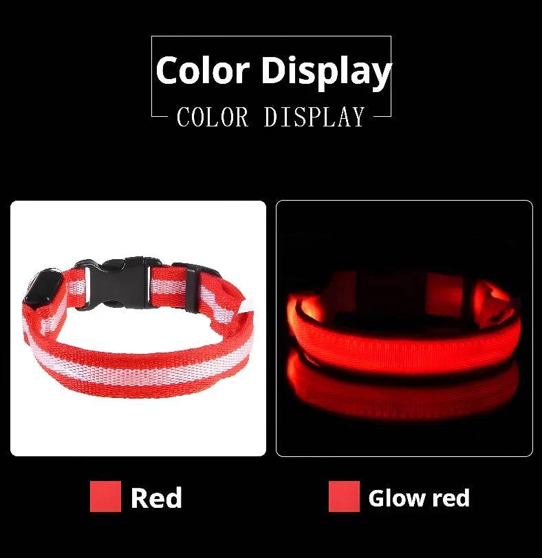 Fitzsi Essentials nylon LED pet collar in red, glowing bright for nighttime safety and visibility