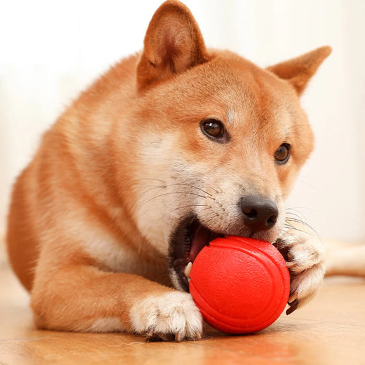 Indestructible Chew-Proof Rubber Ball Durable Bouncy Dog Toy for Pets