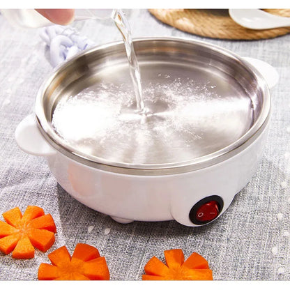 Single & Double Layer Multifunctional Egg Cooker – Electric Boiled Egg Steamer for Breakfast