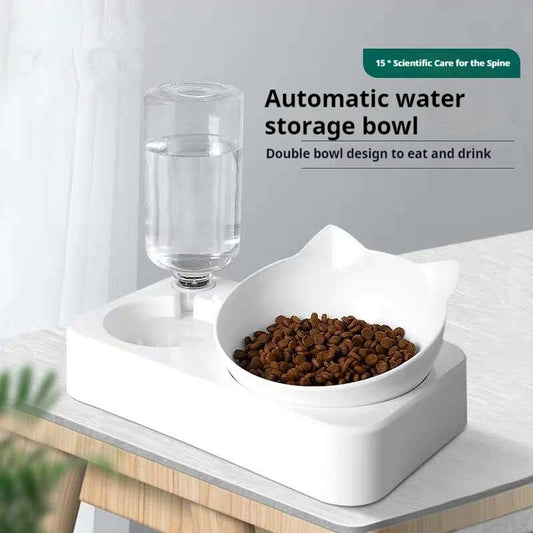 Bowls with Automatic Water Bottle Pet Feeder
