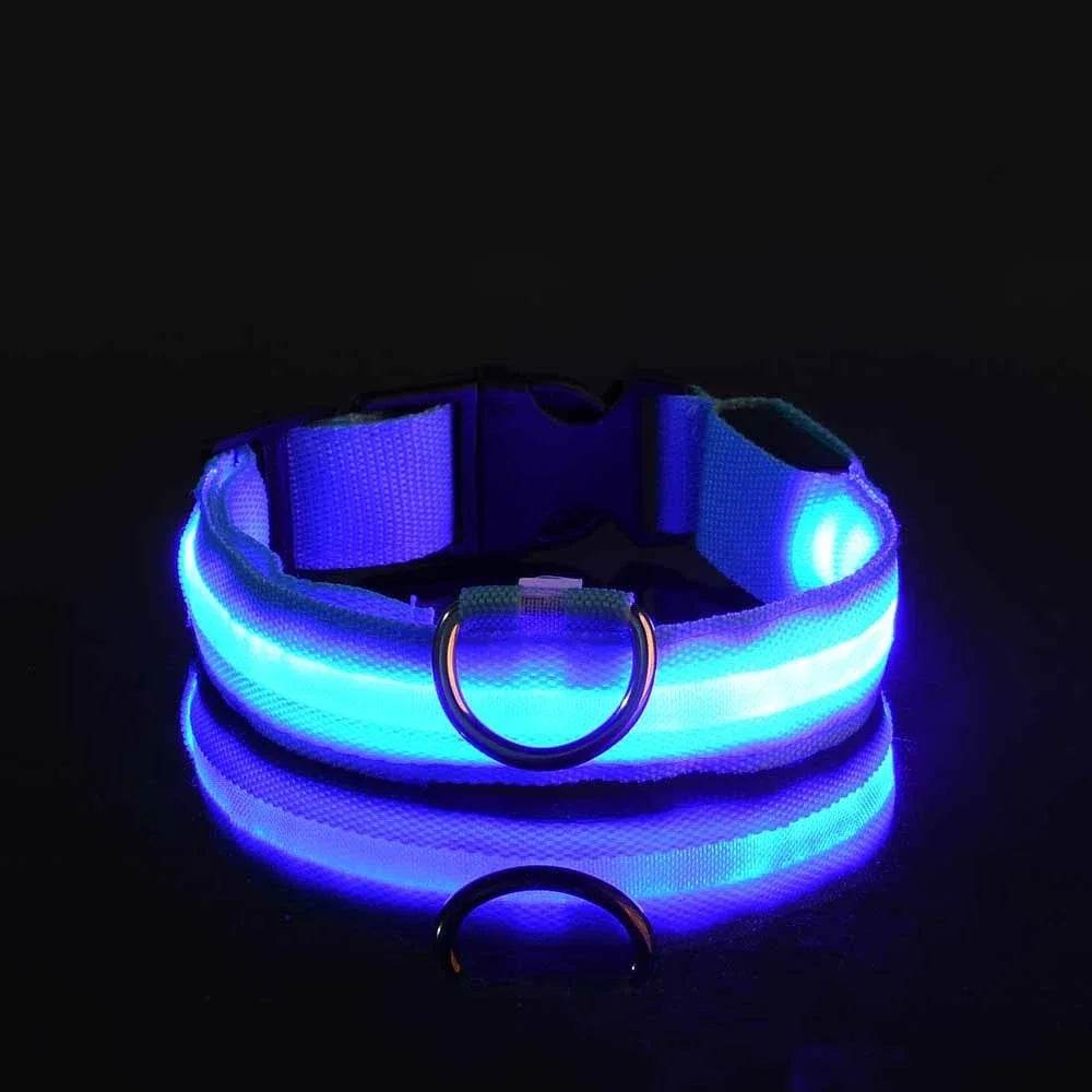 Bright Blue Fitzsi Essentials nylon LED pet collar for nighttime visibility and safety