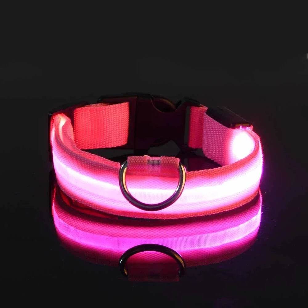 Fitzsi Essentials nylon LED pet collar in pink with reflective light for nighttime visibility