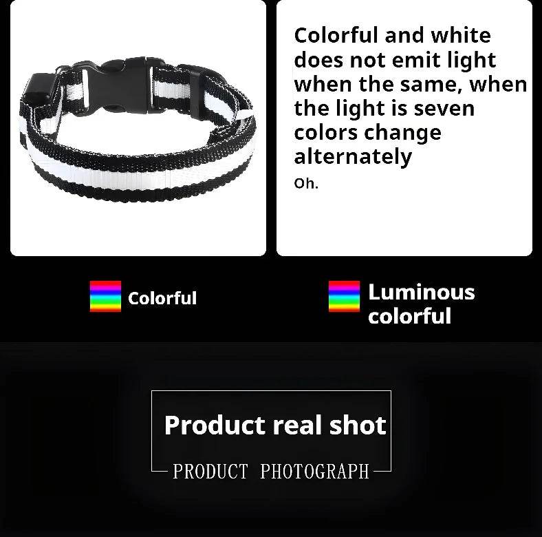 Fitzsi Essentials nylon LED pet collar with colorful light changing features for pet safety