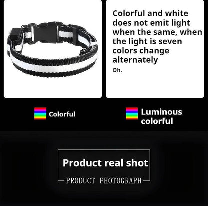 Fitzsi Essentials nylon LED pet collar with colorful light changing features for pet safety