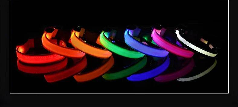Fitzsi Essentials nylon LED pet collar displaying vibrant colors for nighttime visibility