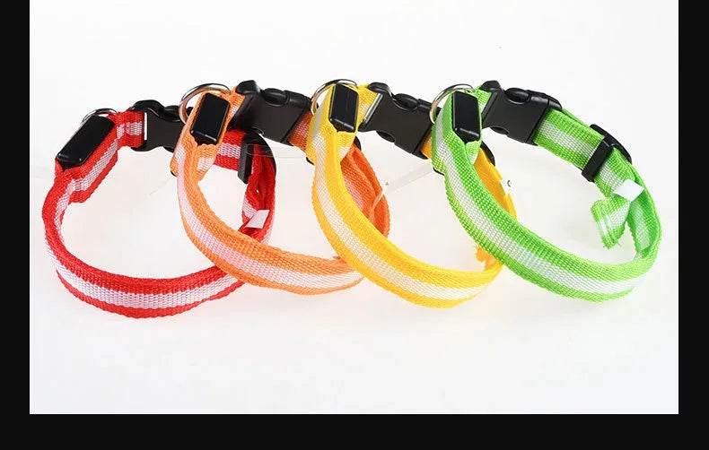 Colorful nylon LED pet collar in red, orange, yellow, and green for nighttime visibility and safety