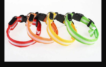 Colorful nylon LED pet collar in red, orange, yellow, and green for nighttime visibility and safety
