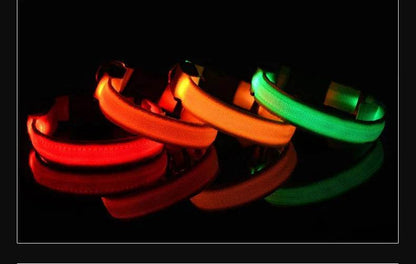 Colorful nylon LED pet collar in red, orange, and green for nighttime visibility