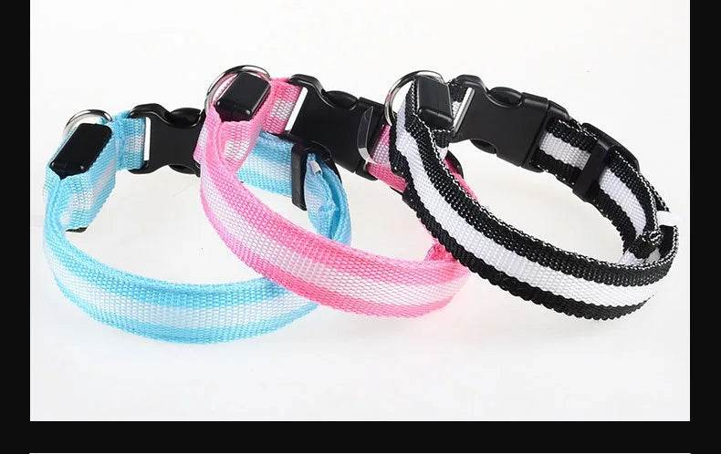 Fitzsi Essentials nylon LED pet collar in blue, pink, and black with reflective stripes for nighttime visibility