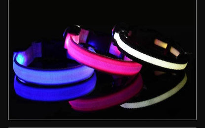 Colorful nylon LED pet collar in blue, pink, and white for enhanced nighttime visibility